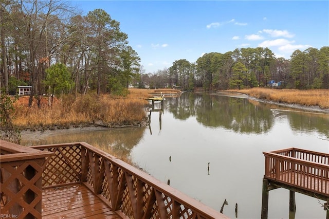 dock area with a water view