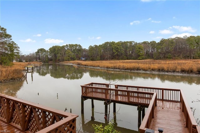 dock area featuring a water view