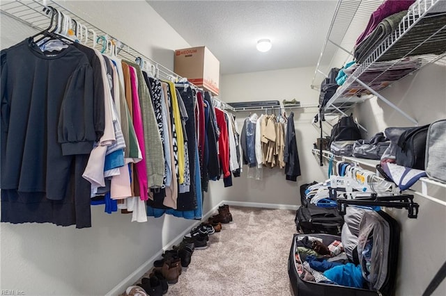 walk in closet featuring carpet floors