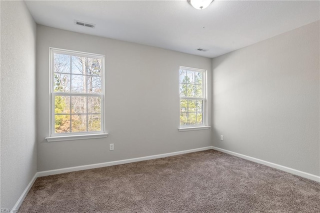 spare room with carpet and a healthy amount of sunlight