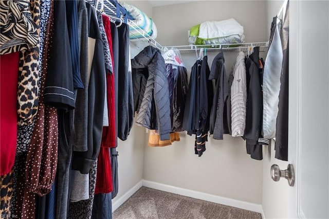 spacious closet featuring carpet floors