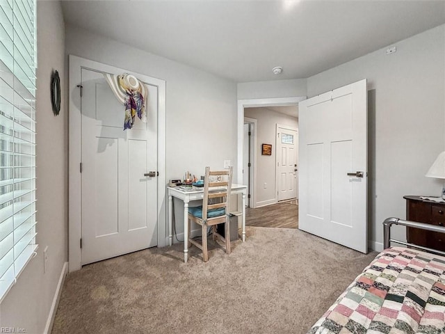 bedroom featuring carpet flooring