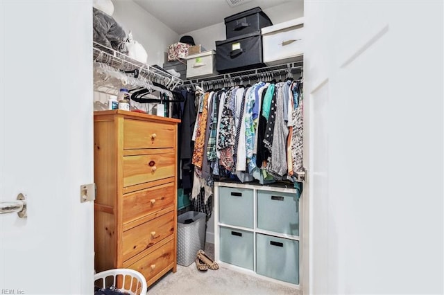 view of spacious closet