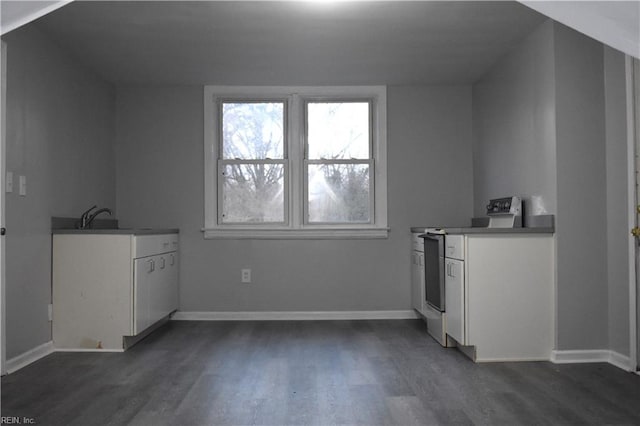 interior space featuring dark hardwood / wood-style flooring and sink