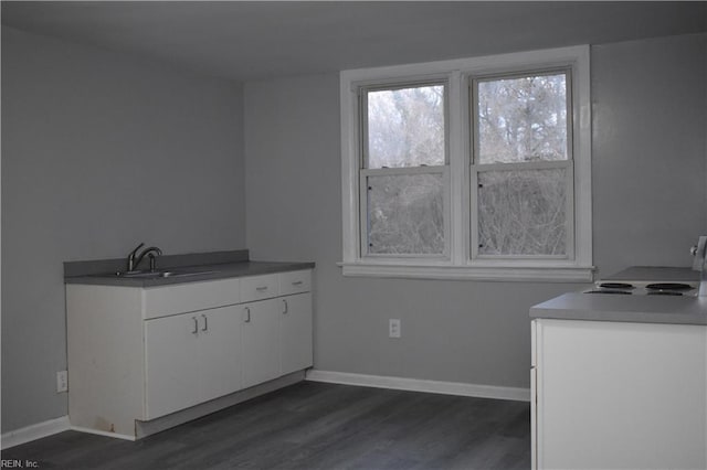 washroom with sink and dark hardwood / wood-style flooring