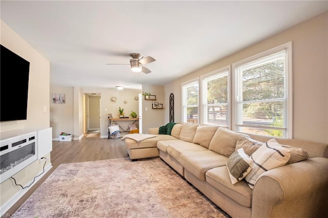 living room featuring ceiling fan and light wood-type flooring