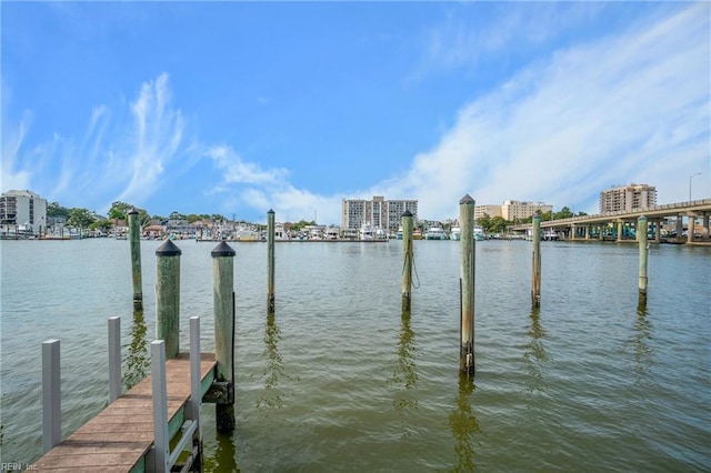 dock area featuring a water view