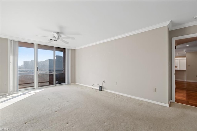 carpeted spare room featuring ceiling fan, ornamental molding, and floor to ceiling windows