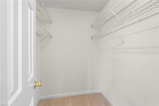 walk in closet with light colored carpet