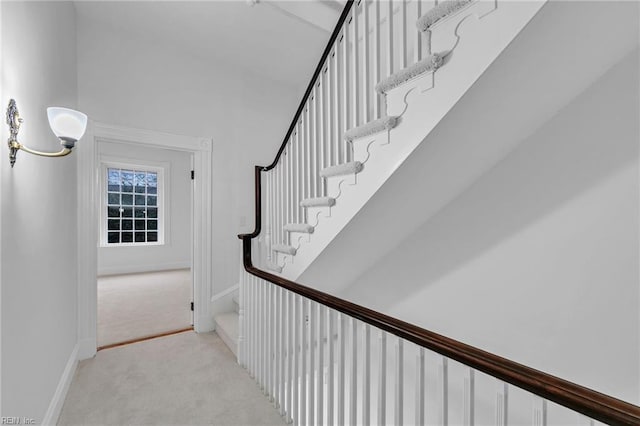 stairs featuring carpet floors