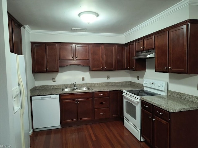 kitchen featuring crown molding, white appliances, dark hardwood / wood-style floors, and sink