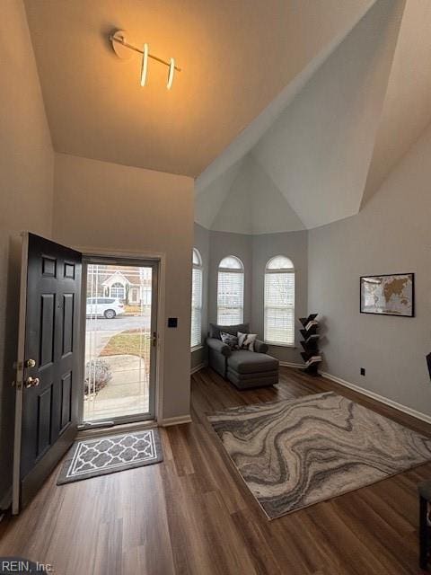 foyer with hardwood / wood-style flooring and high vaulted ceiling