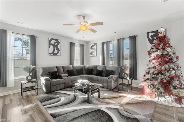 living room featuring ceiling fan, plenty of natural light, and light hardwood / wood-style floors