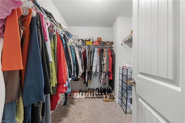 walk in closet with light carpet