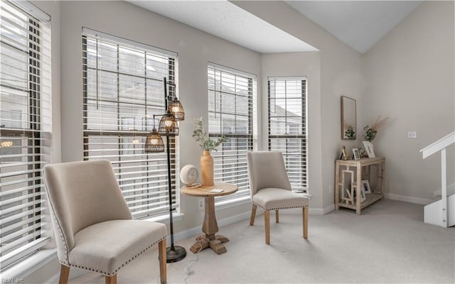 sitting room with carpet flooring