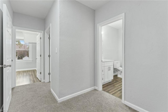 hallway featuring carpet floors