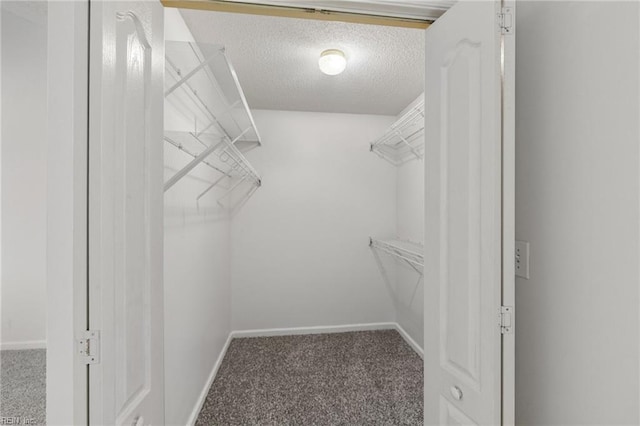 spacious closet with carpet floors