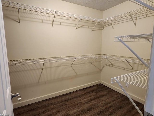 walk in closet featuring dark hardwood / wood-style flooring