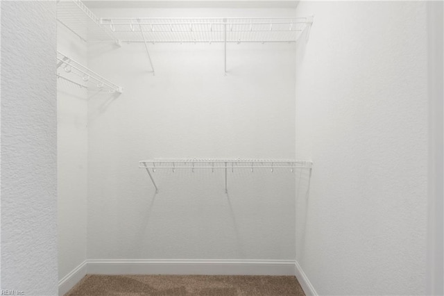 walk in closet featuring carpet flooring