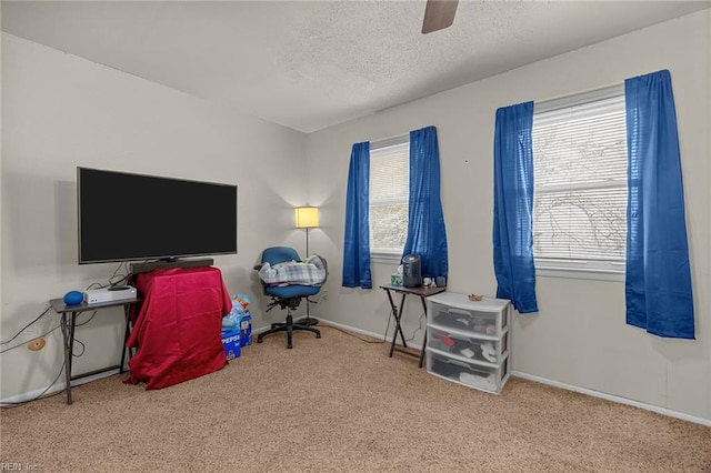 office area featuring a textured ceiling, light carpet, and a wealth of natural light