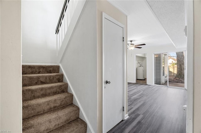 stairway featuring hardwood / wood-style flooring, ceiling fan, and water heater