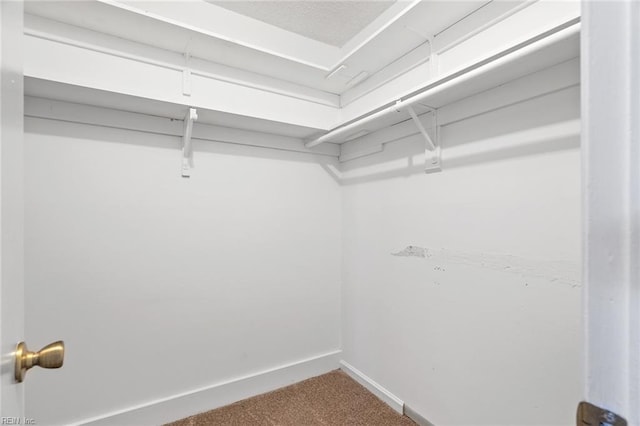 walk in closet with carpet flooring