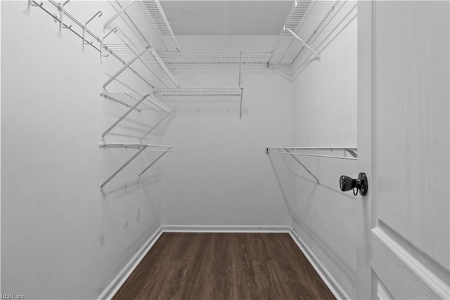 walk in closet featuring dark hardwood / wood-style flooring