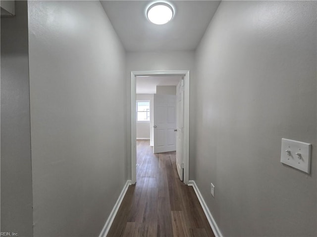 hallway with dark wood-type flooring