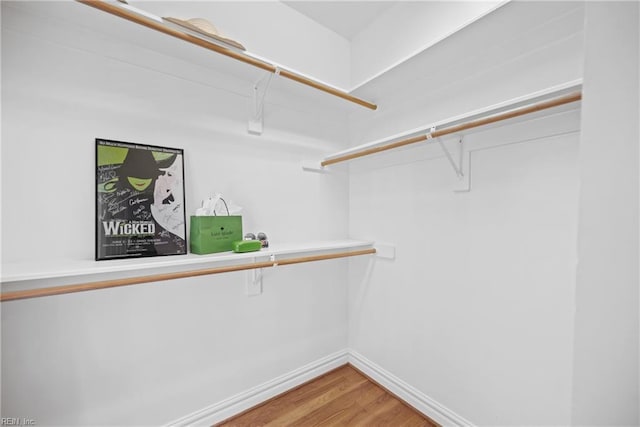 walk in closet featuring hardwood / wood-style flooring