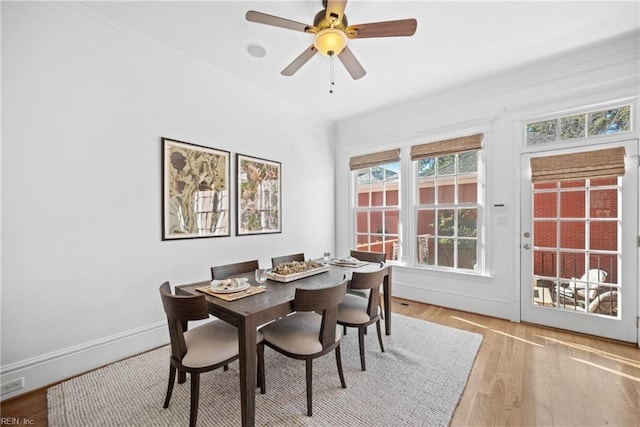 dining room with ornamental molding, ceiling fan, and light hardwood / wood-style floors