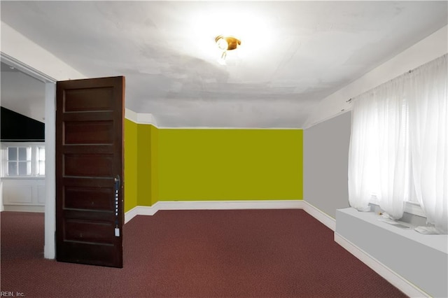 additional living space with carpet floors