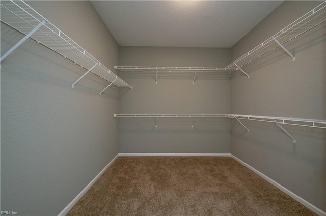 spacious closet with carpet flooring