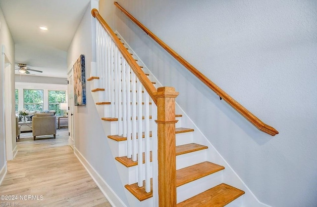 staircase featuring hardwood / wood-style floors and ceiling fan