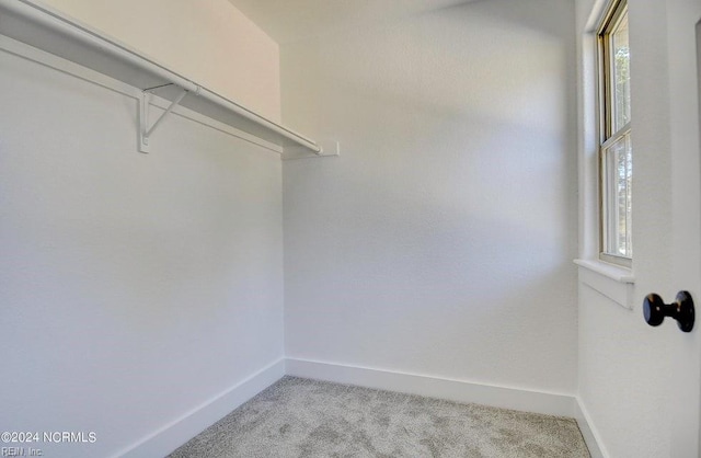 spacious closet featuring light colored carpet