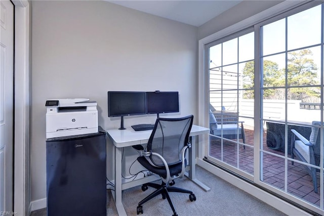 office with carpet floors