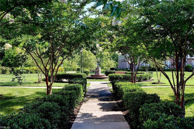 view of property's community featuring a lawn