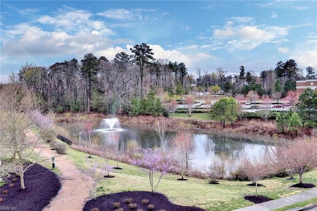 view of water feature