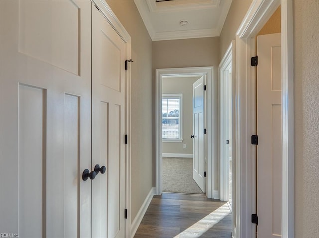 hallway featuring crown molding and dark wood-type flooring