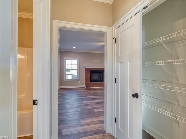 hall featuring crown molding and dark wood-type flooring