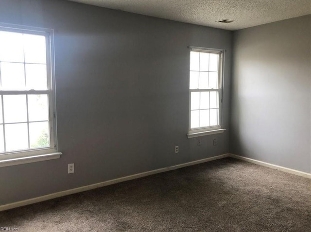 carpeted empty room featuring a healthy amount of sunlight and a textured ceiling