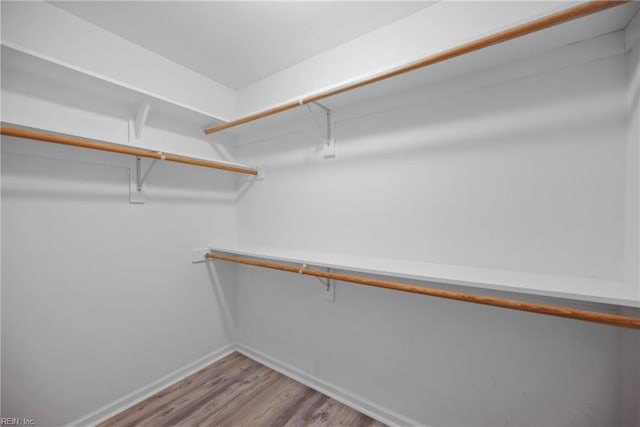 spacious closet featuring light hardwood / wood-style flooring