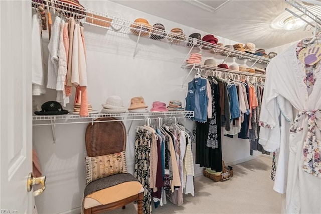 walk in closet with carpet floors