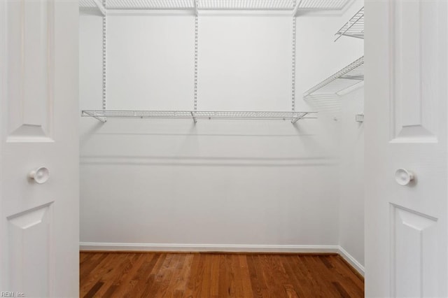 walk in closet with hardwood / wood-style flooring