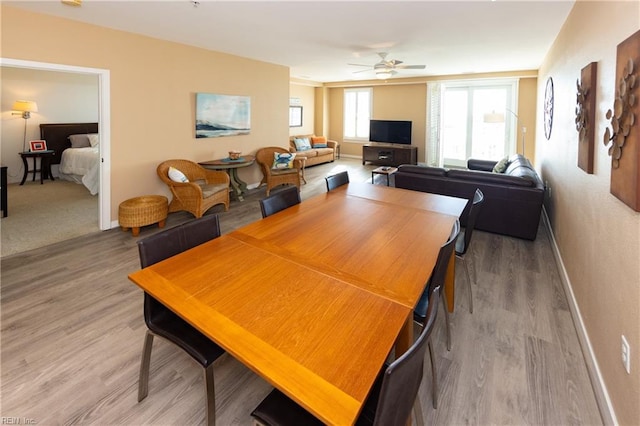 dining room with ceiling fan and hardwood / wood-style floors