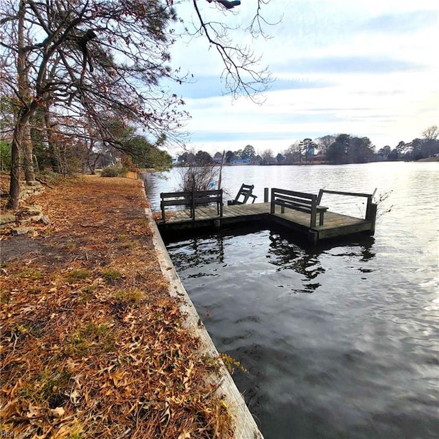 dock area with a water view