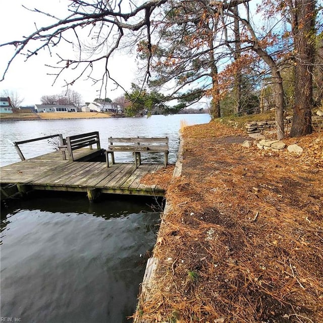 dock area with a water view