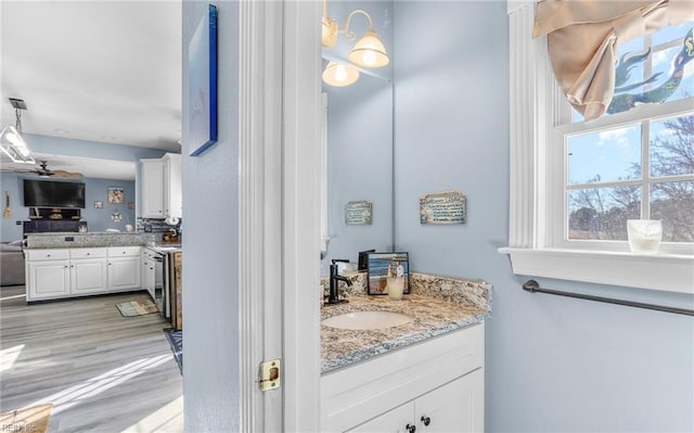 bathroom featuring vanity and wood-type flooring