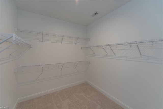 spacious closet with carpet floors