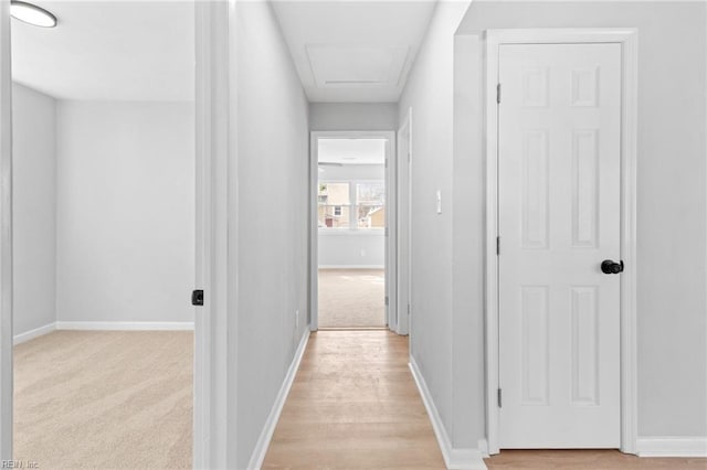 corridor with light colored carpet