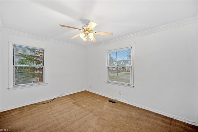 unfurnished room with crown molding, ceiling fan, and carpet floors